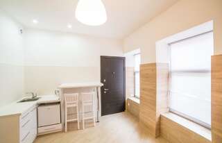 Апартаменты Apartment on Zamarstynivska 20 Львов Апартаменты-студио-4